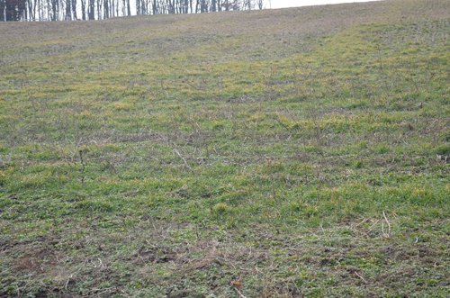 Property photo 39 - 98+/- Acres Offered in 6 Tracts or Combinations, Noble County, Indiana Farm